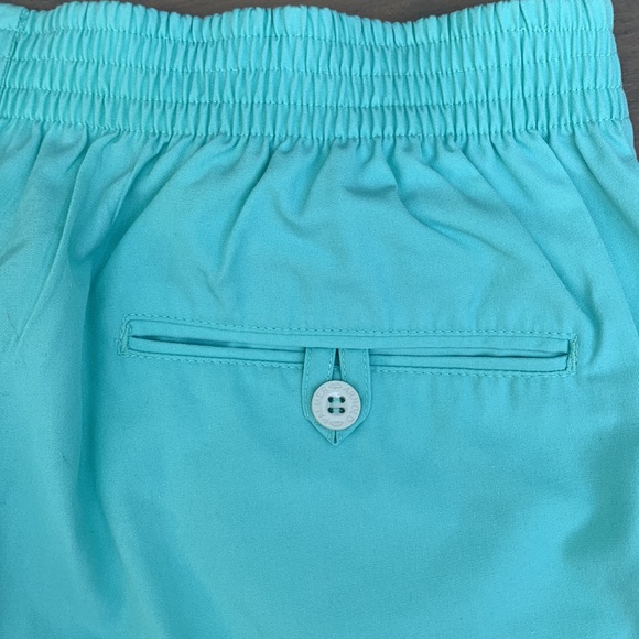 Arnold Palmer Aqua Shorts - Picture 9 of 12